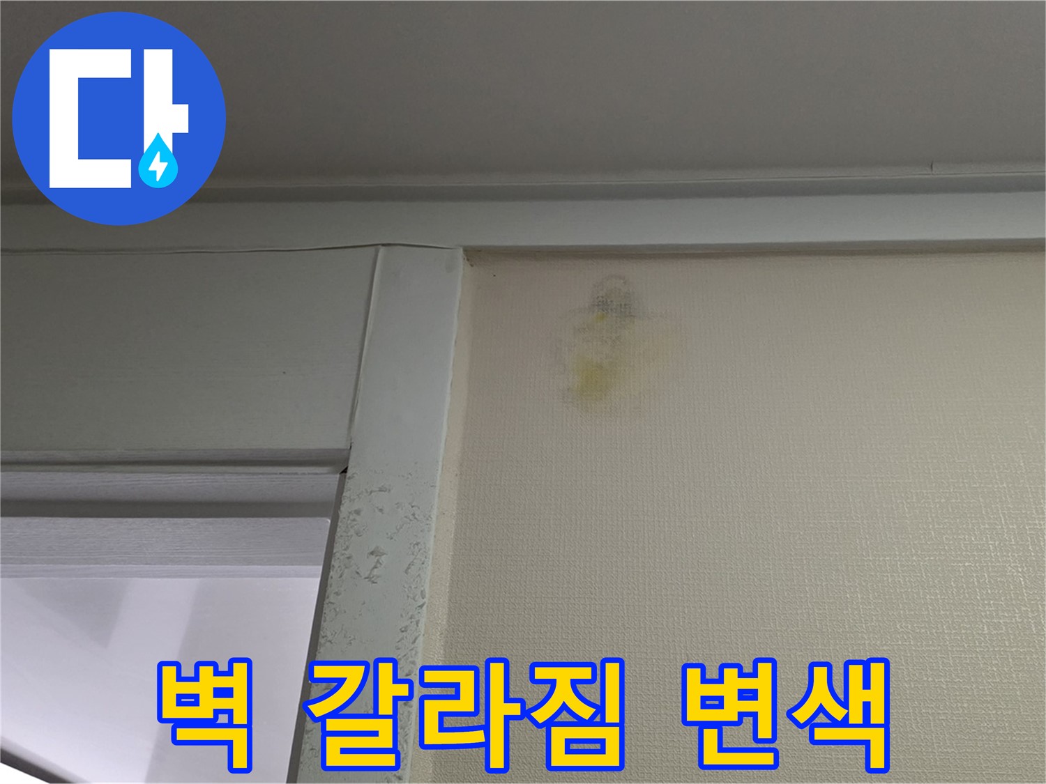 성남 분당 운중동 산운마을 아파트 - 벽 갈라짐 및 변색 누수 초기 의심
