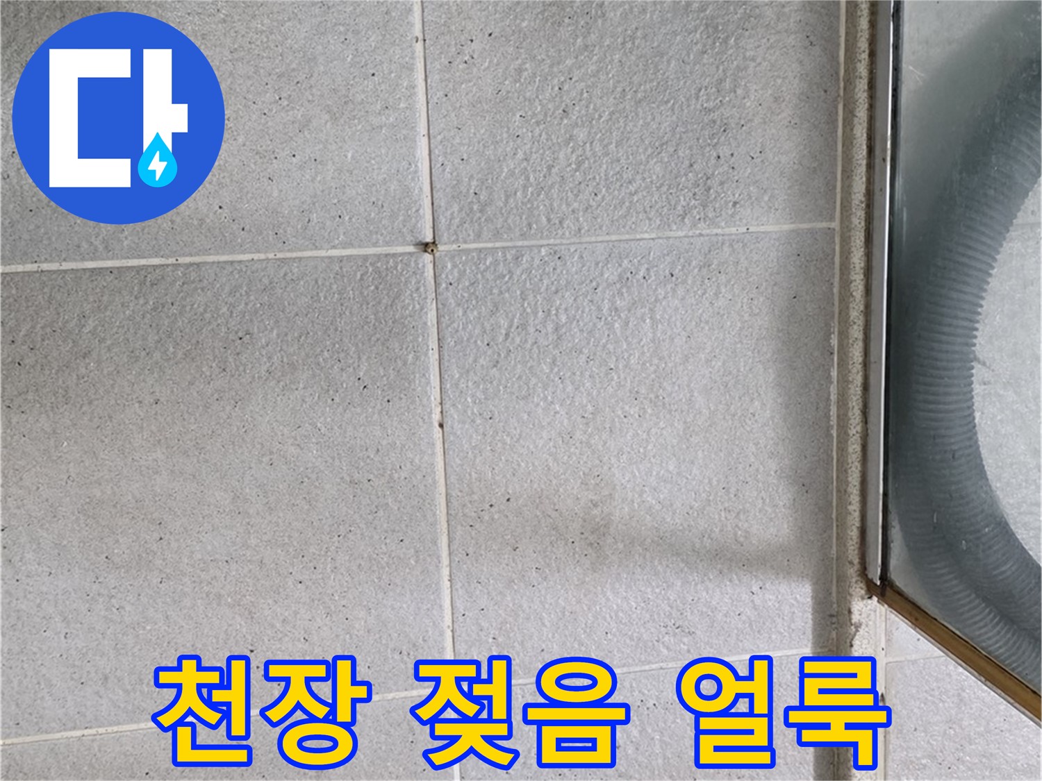 성남 분당 운중동 욕실 천장 - 석고보드 젖음과 얼룩은 윗집 누수의 명백한 증거입니다.