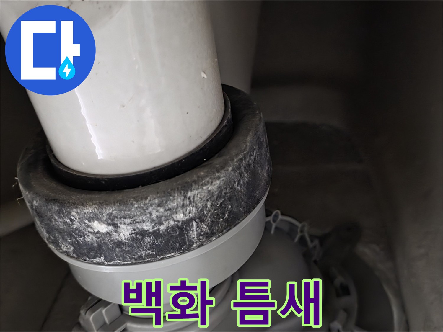 성남시 분당구 운중동 산운로 변기 누수 - 백화 현상으로 인해 틈새가 발생했습니다