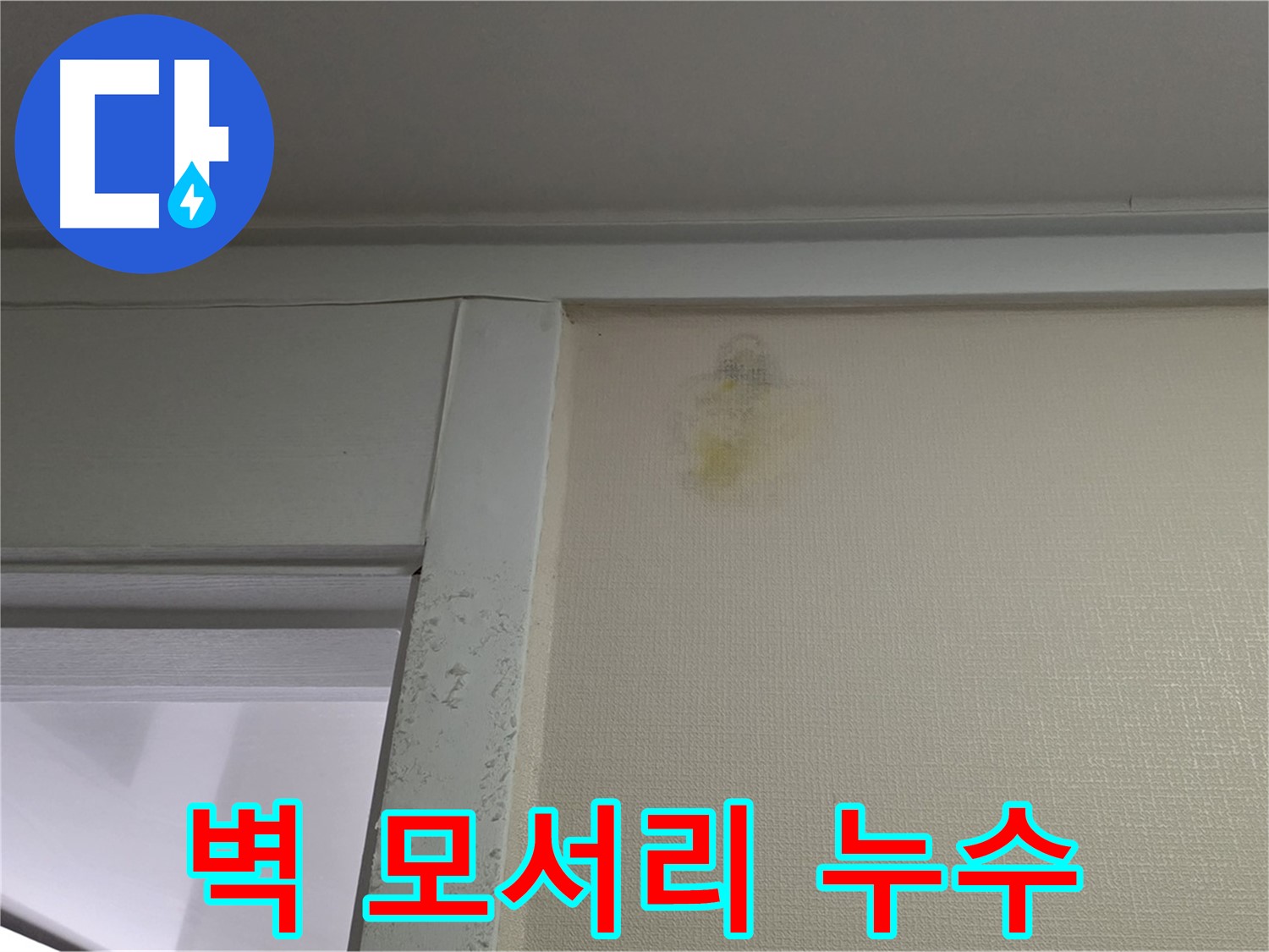 성남시 분당구 운중동 산운마을 아파트 벽 모서리 누수 - 초기 발견 및 정밀 진단