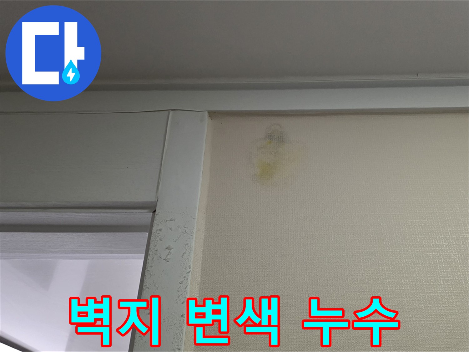 성남시 분당구 운중동 산운마을 아파트 벽지 변색 - 누수 초기 증상 확인