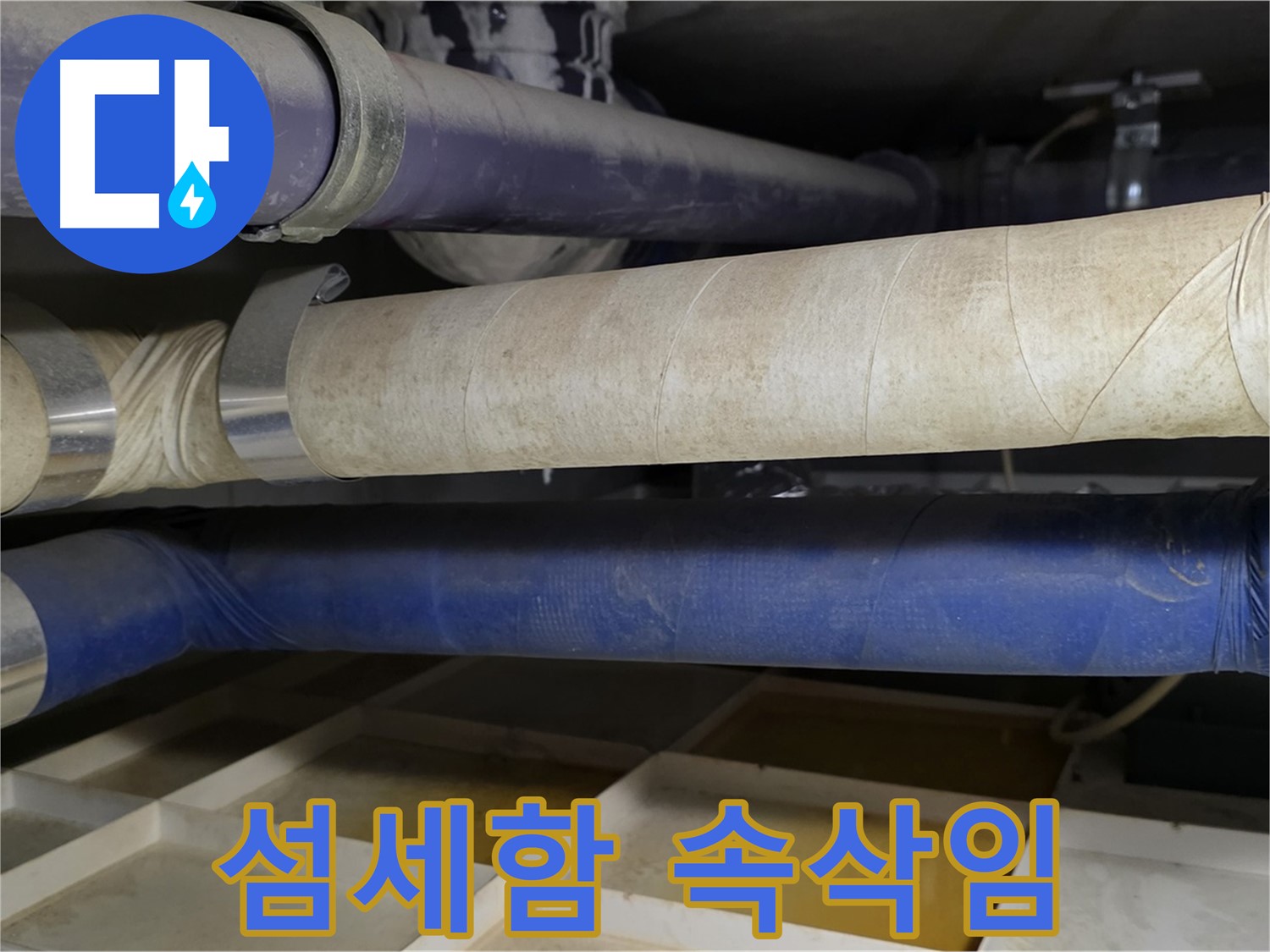 숙련된 기술 - 작은 속삭임도 놓치지 않는 섬세한 귀