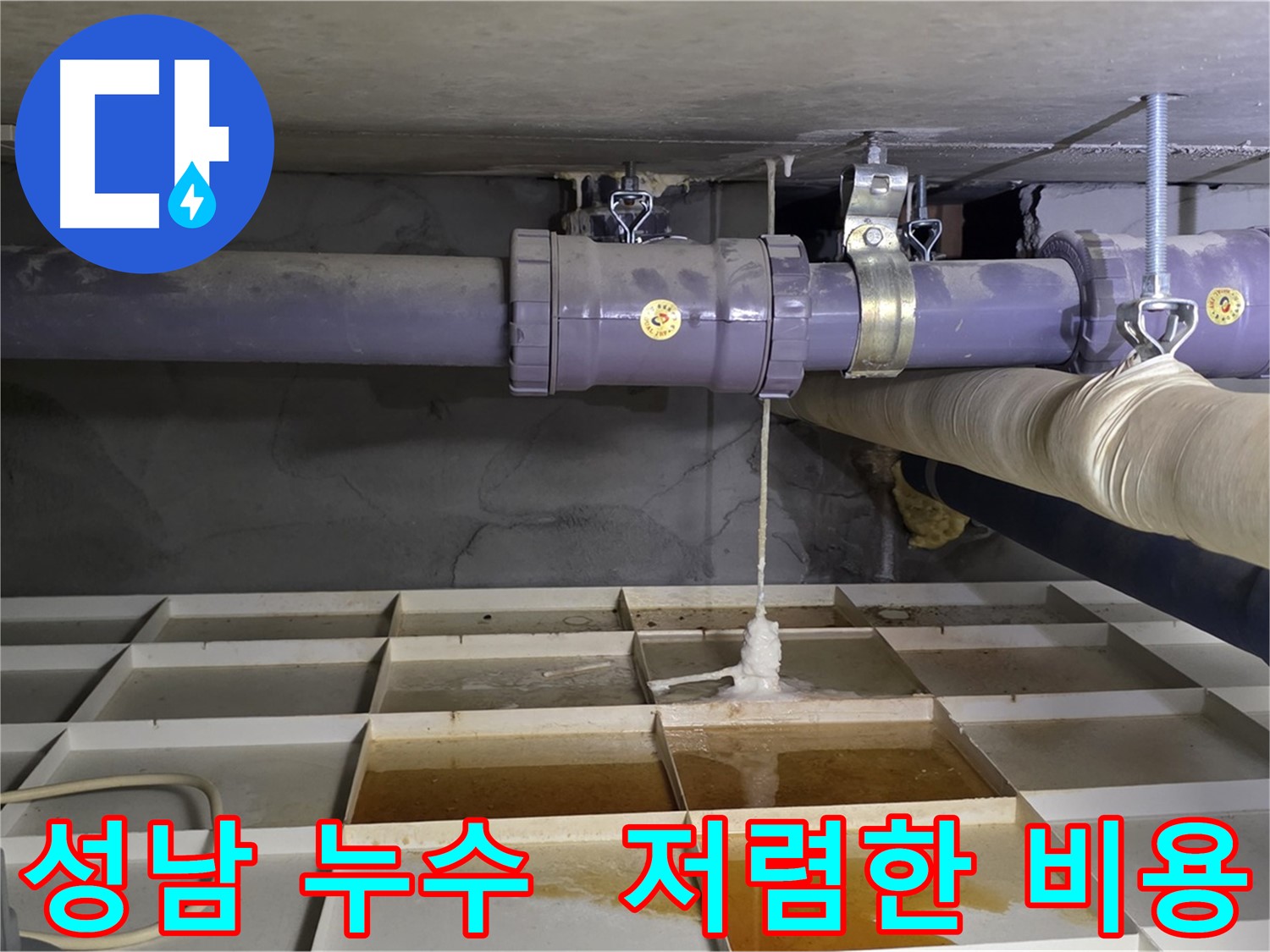 성남 정화조 누수 - 낡은 배관 연결 부위, 저렴한 비용으로 누수 해결