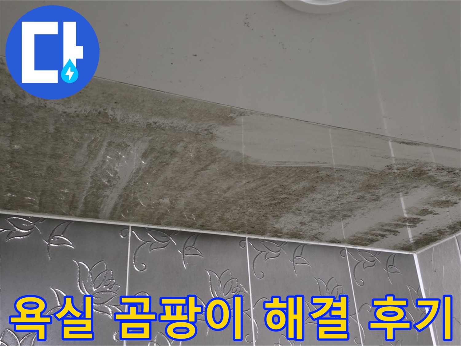 욕실 누수와 곰팡이 - 완벽하게 해결된 후 만족스러운 고객 후기
