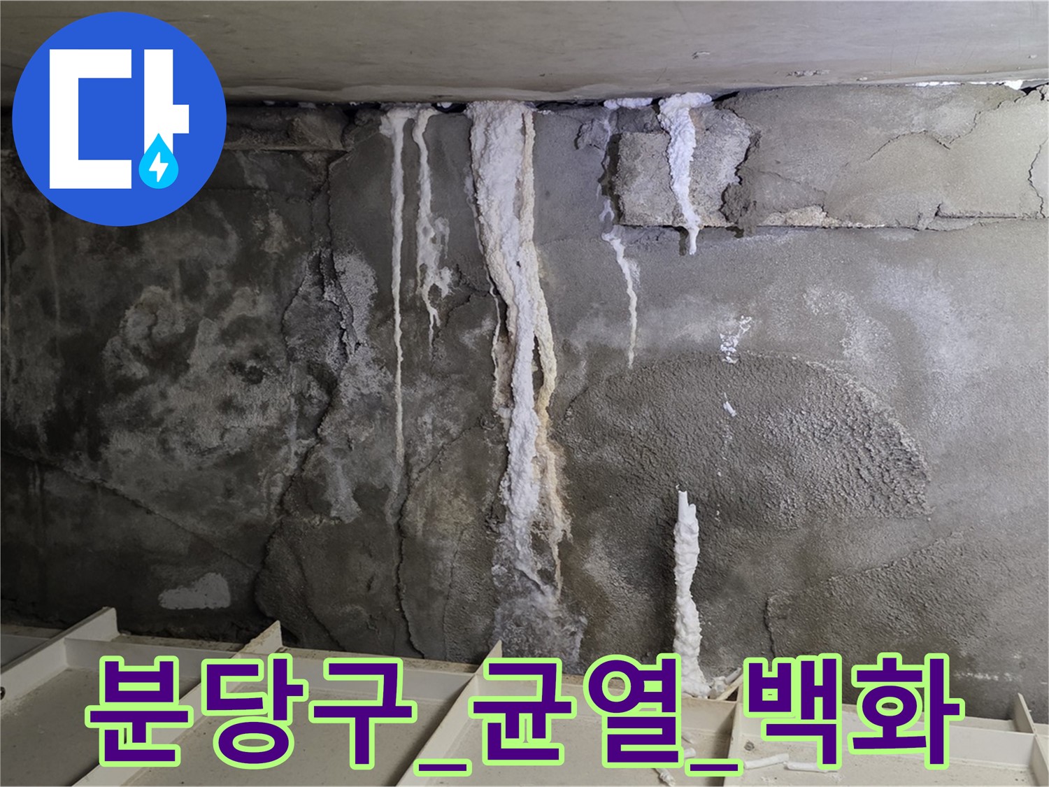 분당구 콘크리트 균열 - 백화 현상 동반