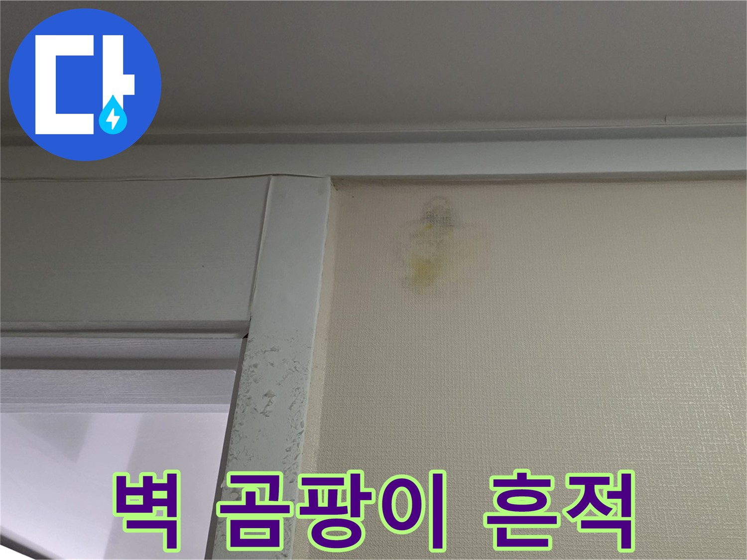 운중동 산운마을 6단지 아파트 벽 곰팡이 흔적 - 초기 누수 발견 및 곰팡이 제거 필요