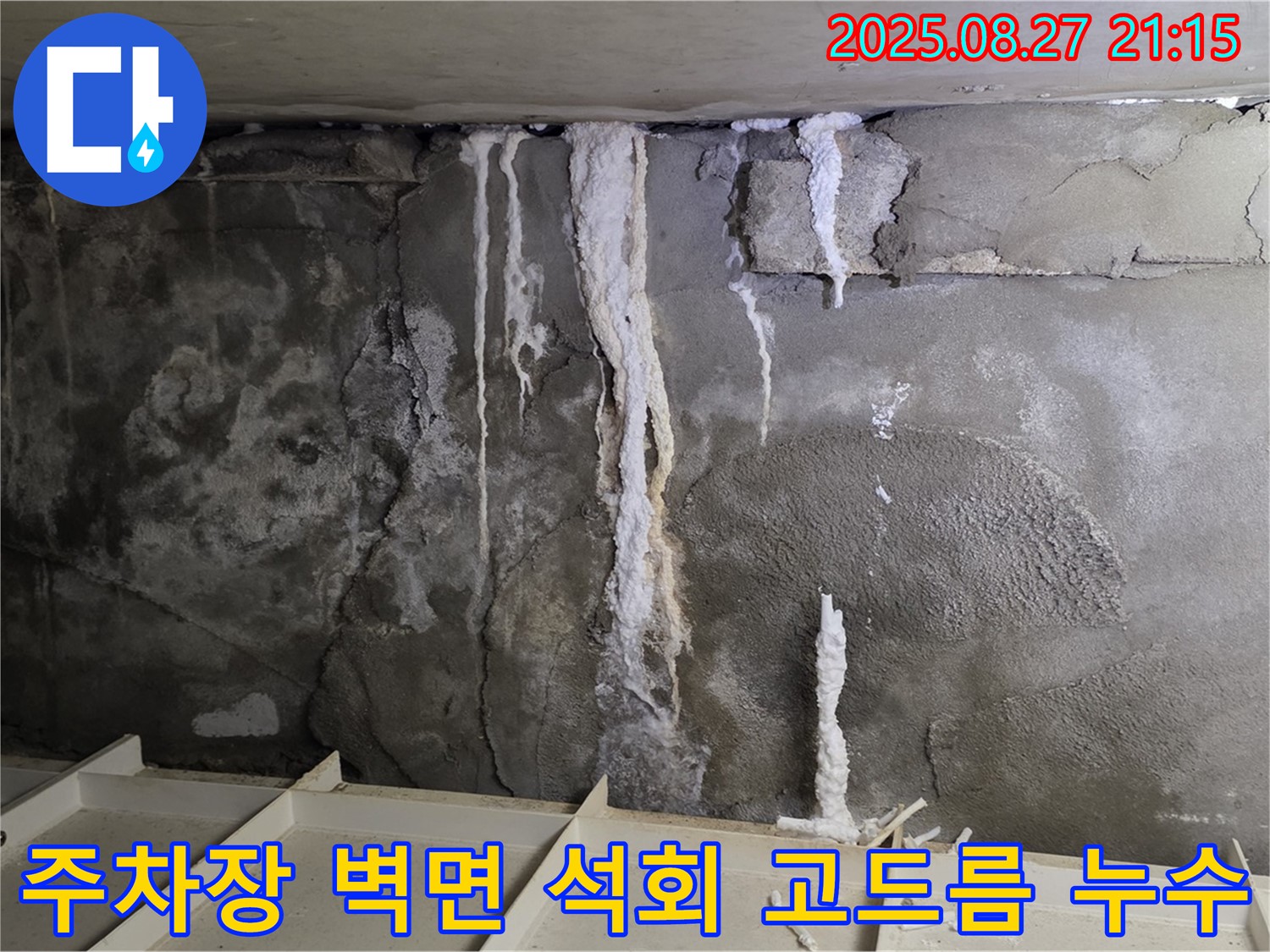 운중동 산운마을 6단지 지하 주차장 벽면 누수 - 석회 성분이 고드름처럼 매달린 위험한 상황을 보여줍니다.