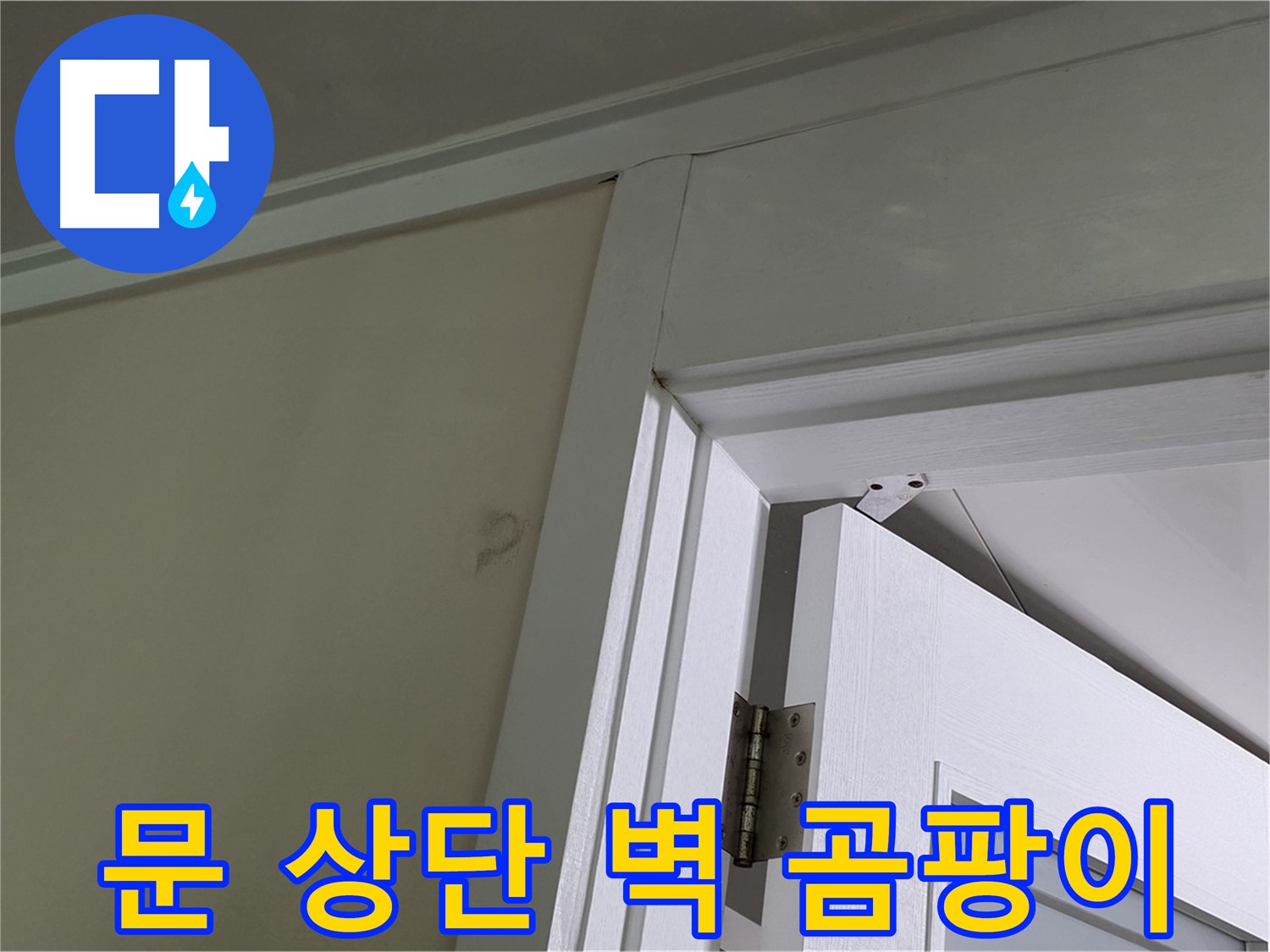 운중동 산운마을 - 문 상단 벽 모서리에 핀 곰팡이 - 누수 경로를 따라 누수 지점을 추적합니다.
