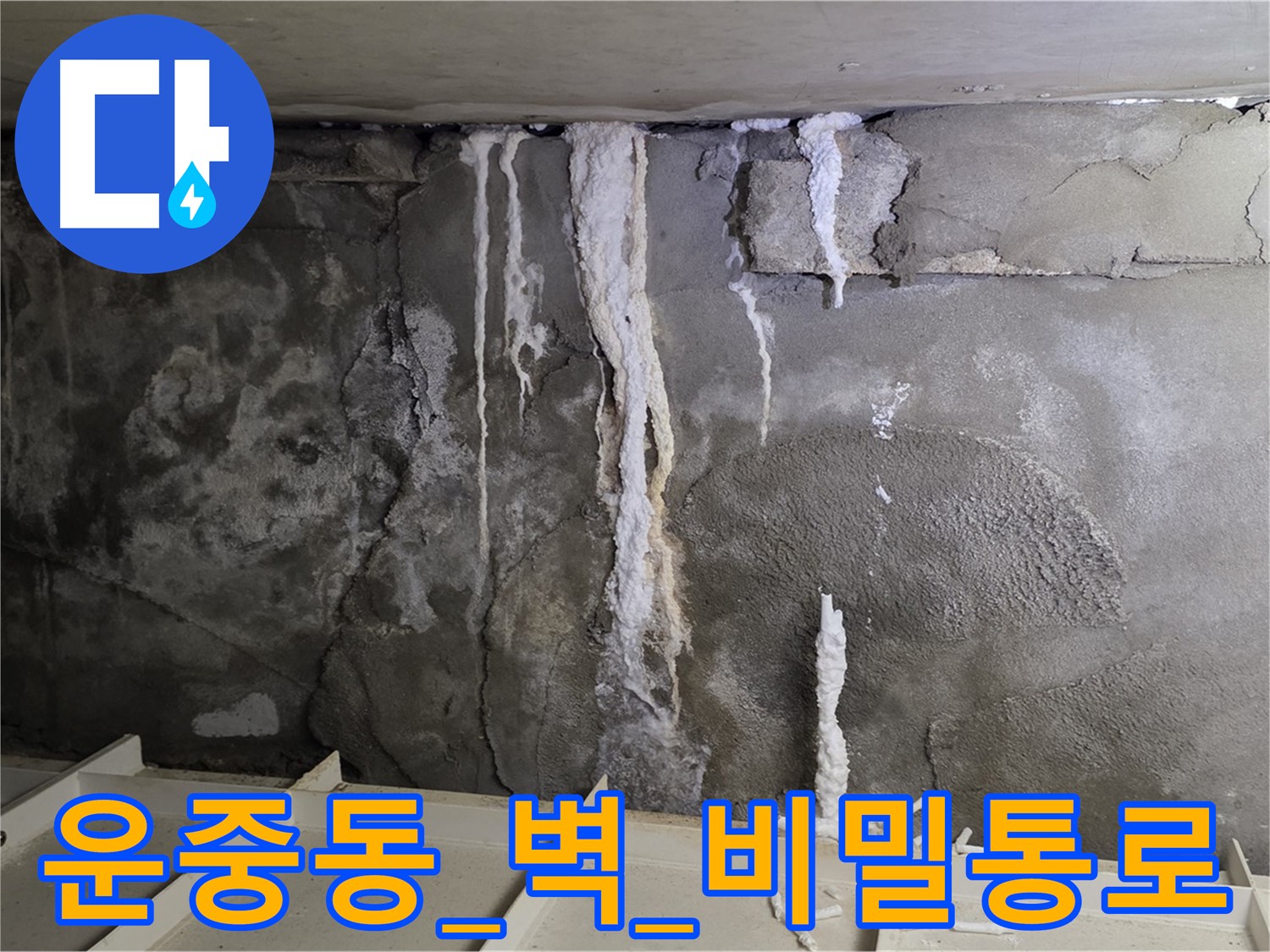 운중동 콘크리트 벽 - 석회수 눈물 자국, 건물 속 비밀 통로