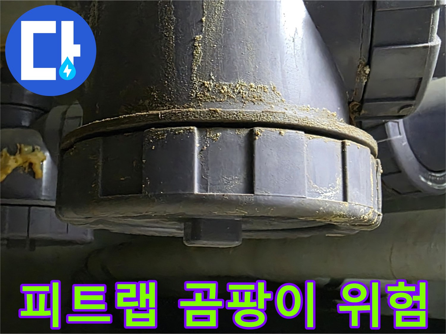 운중동 피트랩 손상 - 곰팡이 위험과 배수구 악취 문제 해결