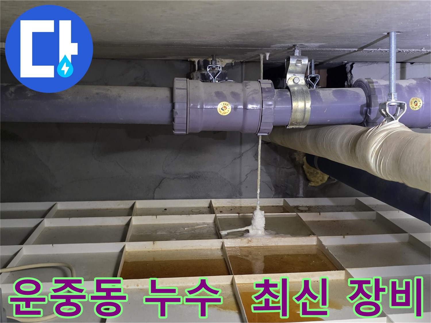 최신 장비 활용 - 운중동 하수 배관 누수 정확한 탐지 및 효율적 해결