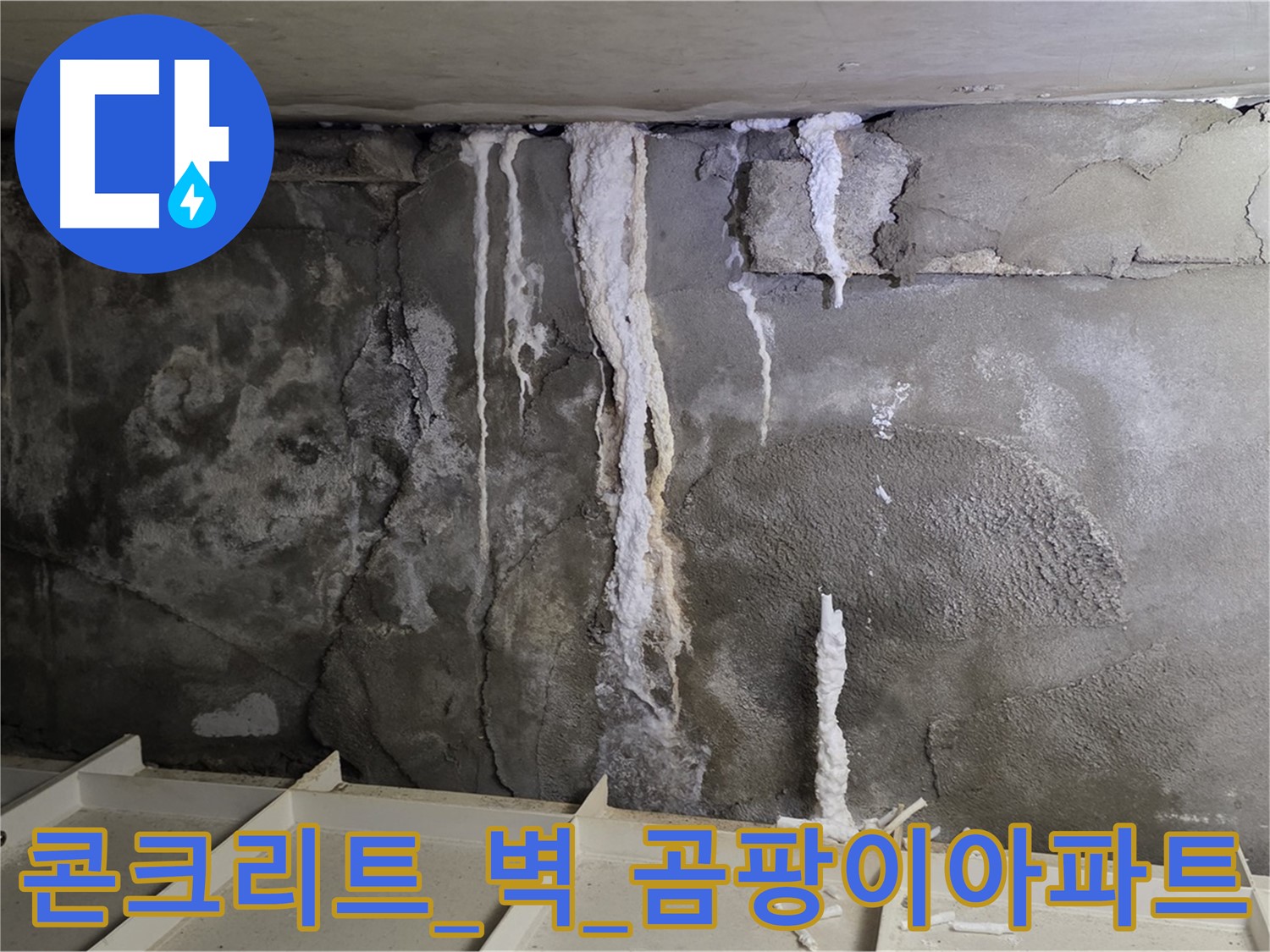 콘크리트 벽 - 석회수 지옥, 건물 곰팡이 아파트 될까 덜덜
