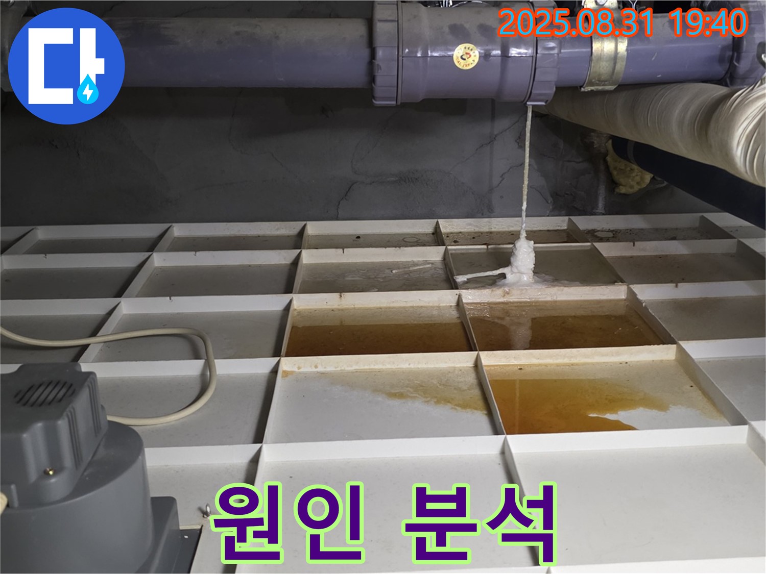 누수 원인 완벽 분석 - 분당 산운로 누수, 맞춤 해결책 제시.