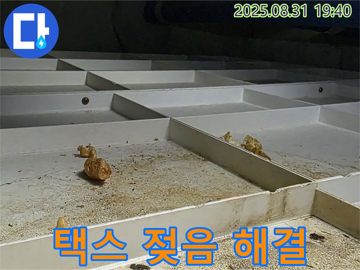 분당 구미동 천장 누수 - 택스 젖음 문제 신속하게 해결