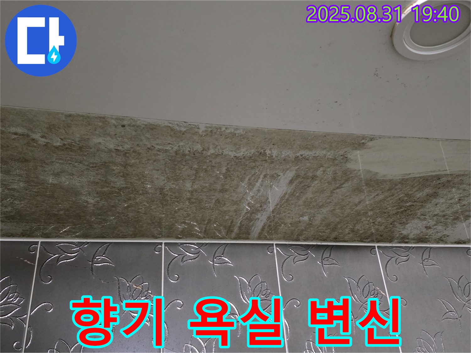 분당 백현동 욕실 천장 누수 - 곰팡이 문제 해결하고 뽀송뽀송 향기나는 욕실로 변신!