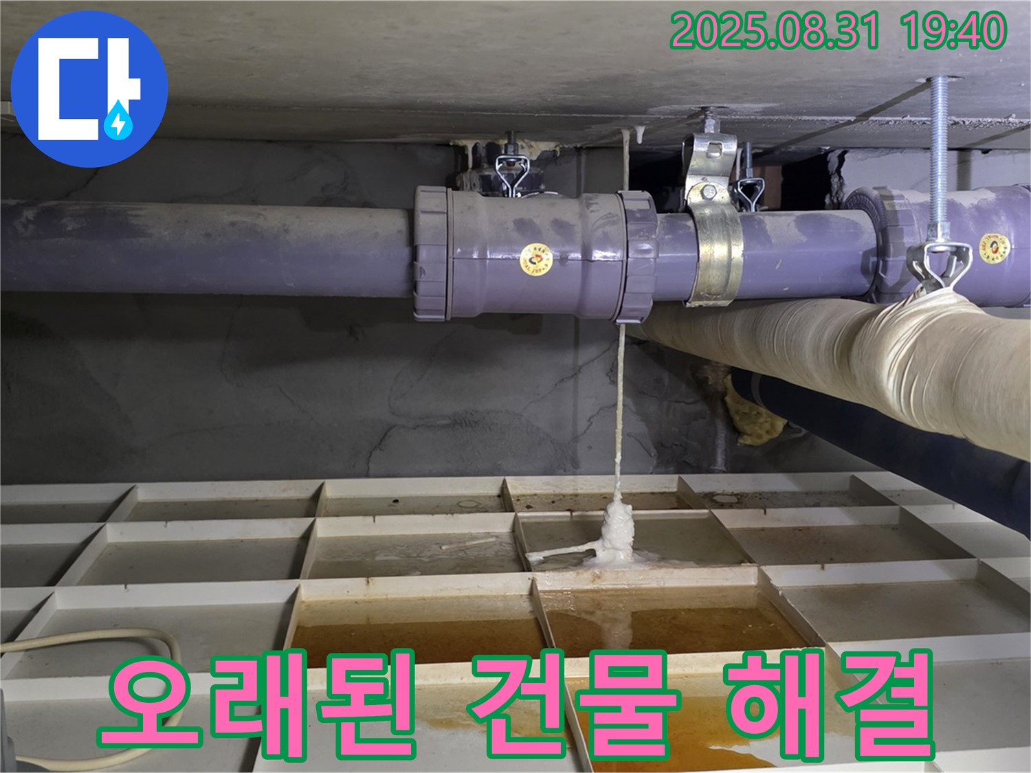 분당 산운동 누수 - 오래된 건물 누수, 확실한 진단과 완벽 시공으로 해결