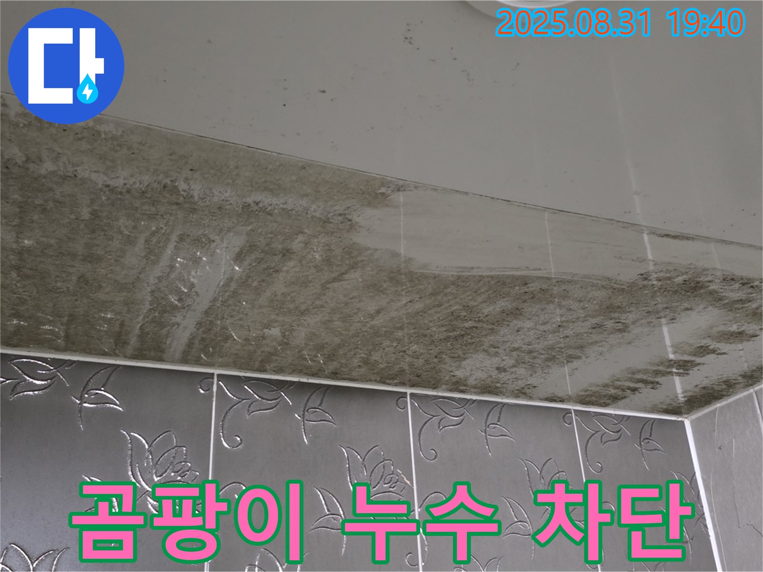 분당 석운동 욕실 천장 곰팡이 - 누수 차단을 통해 곰팡이 문제를 해결하는 과정을 보여줍니다.
