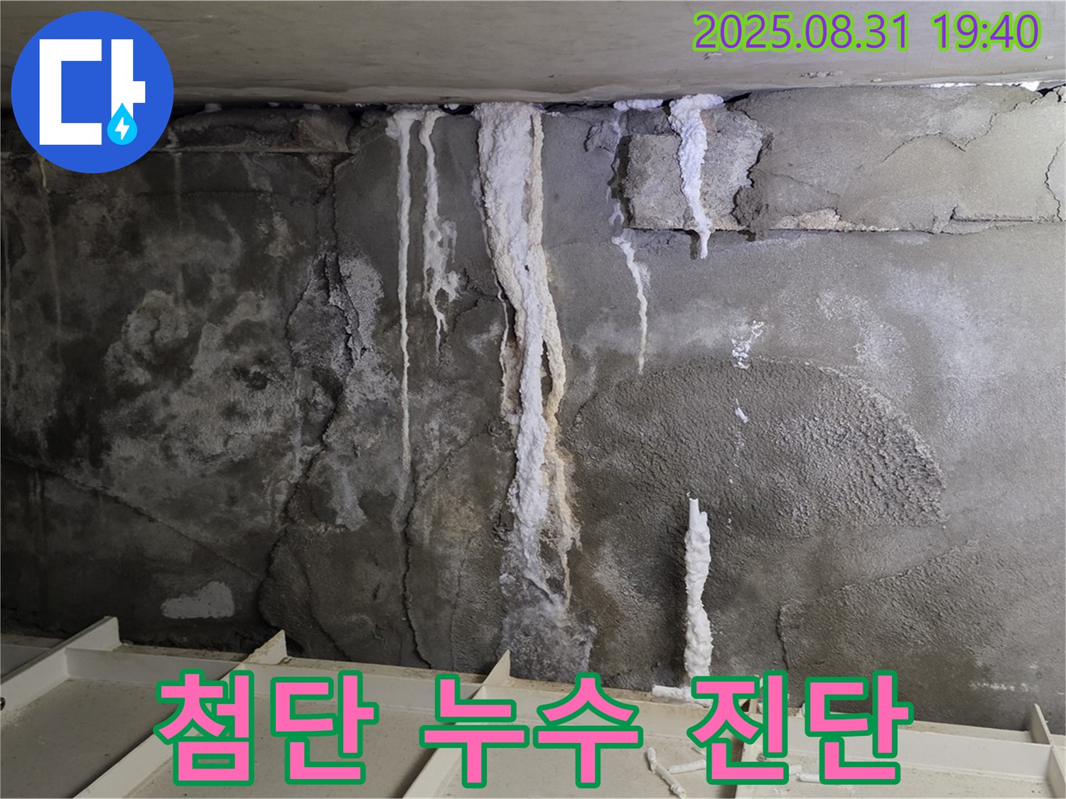 분당 주택 지하 콘크리트 누수 - 첨단 장비 사용, 콘크리트 누수 원인 정밀하게 진단, 곰팡이 걱정 끝