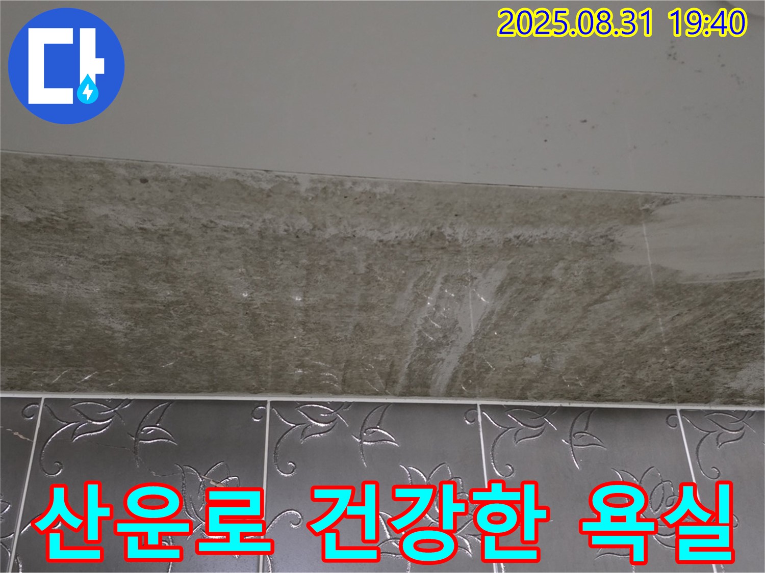 분당구 산운로 욕실 곰팡이 - 곰팡이 제거 쾌적하고 건강한 욕실로 변신