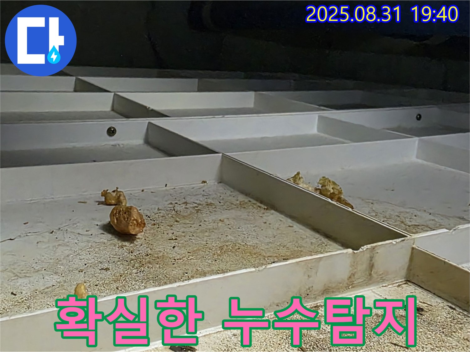 분당구 정자동 누수 - 확실한 누수탐지로 누수 문제 해결