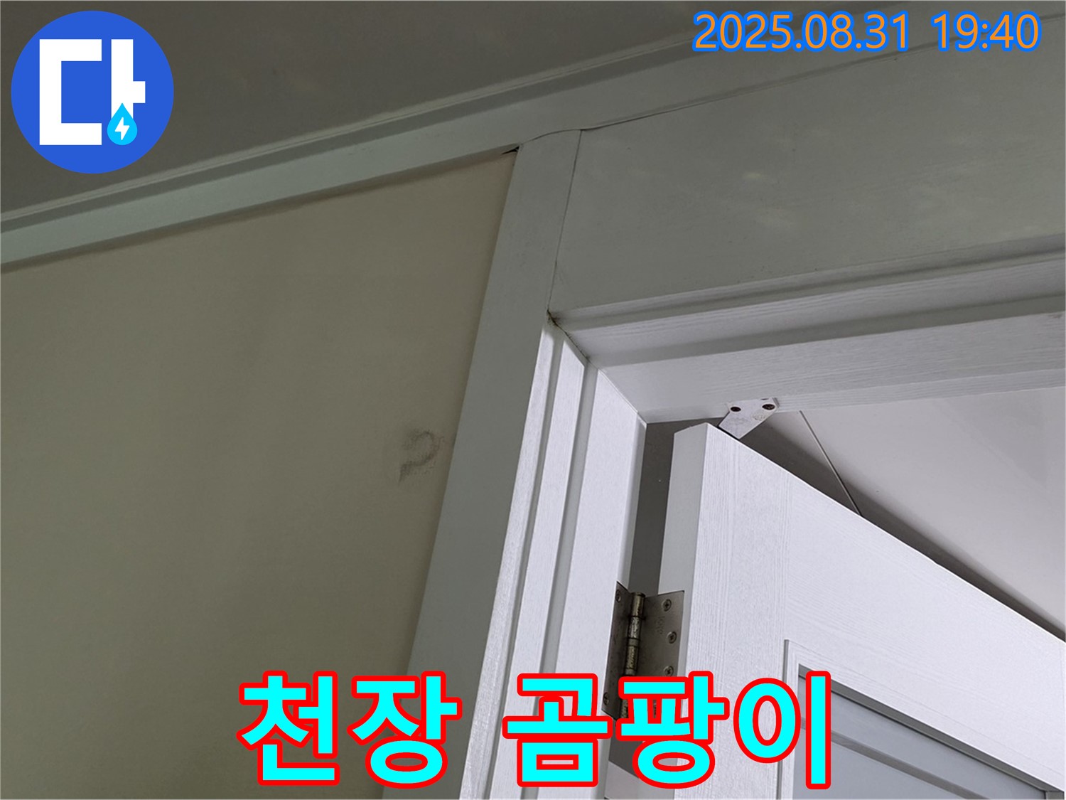 천장 곰팡이 - 문 위쪽 천장에 곰팡이가 심하게 발생했습니다.
