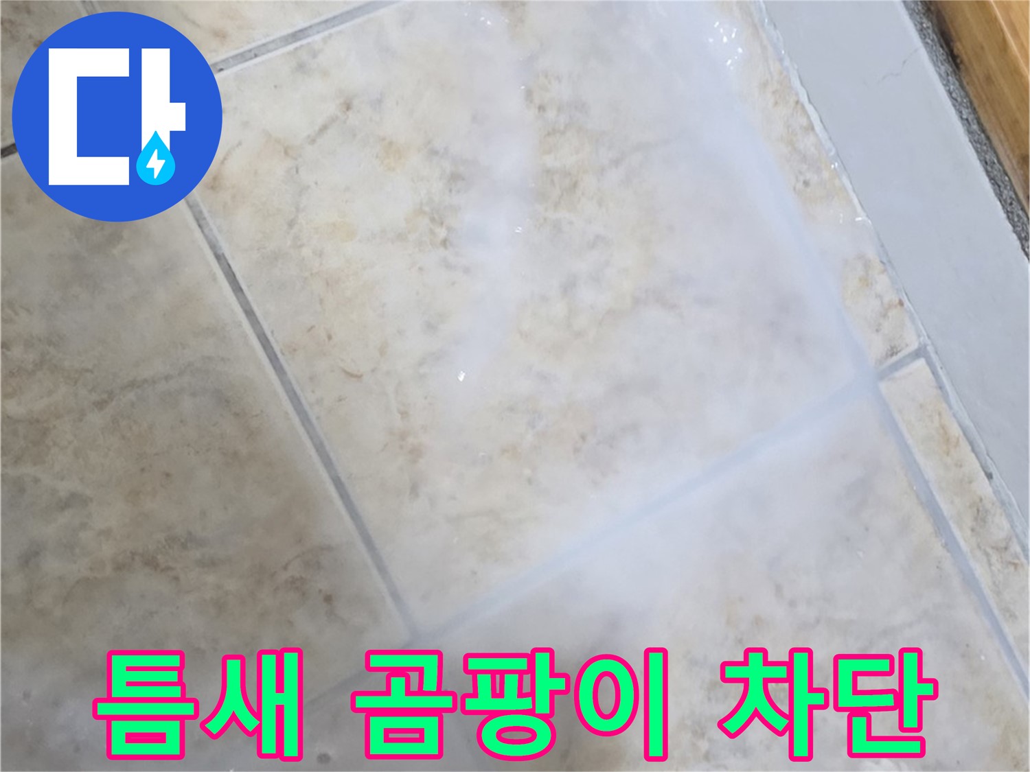 타일 틈새 곰팡이 - 제거 후 완벽 차단으로 - 누수 걱정 끝!