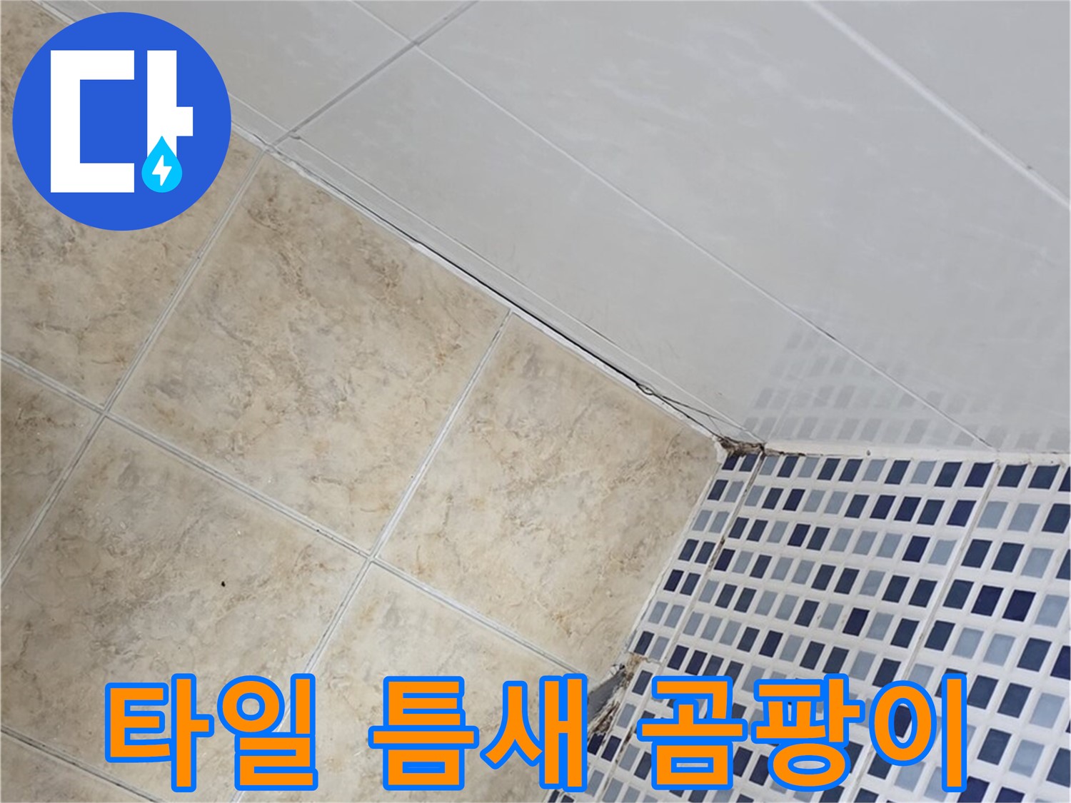 묵동 욕실 바닥 타일 틈새 누수 - 곰팡이 제거 후 방수 코팅 및 실리콘 재시공