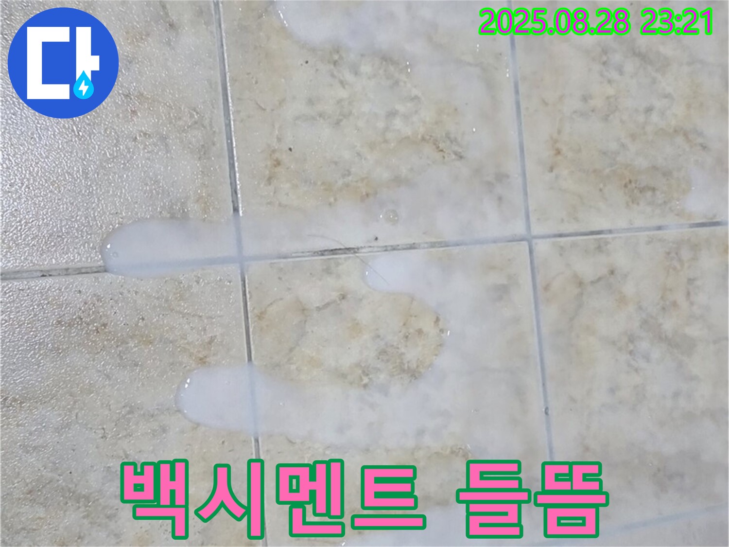 백시멘트 들뜸 - 묵동 주택 욕실에서 발견된 백시멘트 들뜸 현상 - 누수 초기 증상일 수 있습니다.