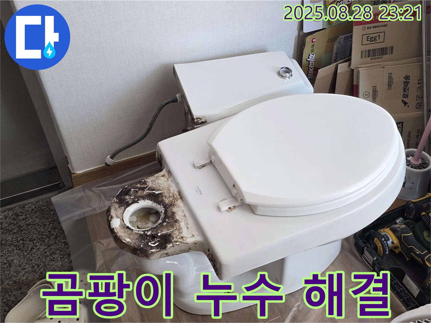 변기 누수 - 중랑구 묵동 곰팡이와 함께 누수 해결