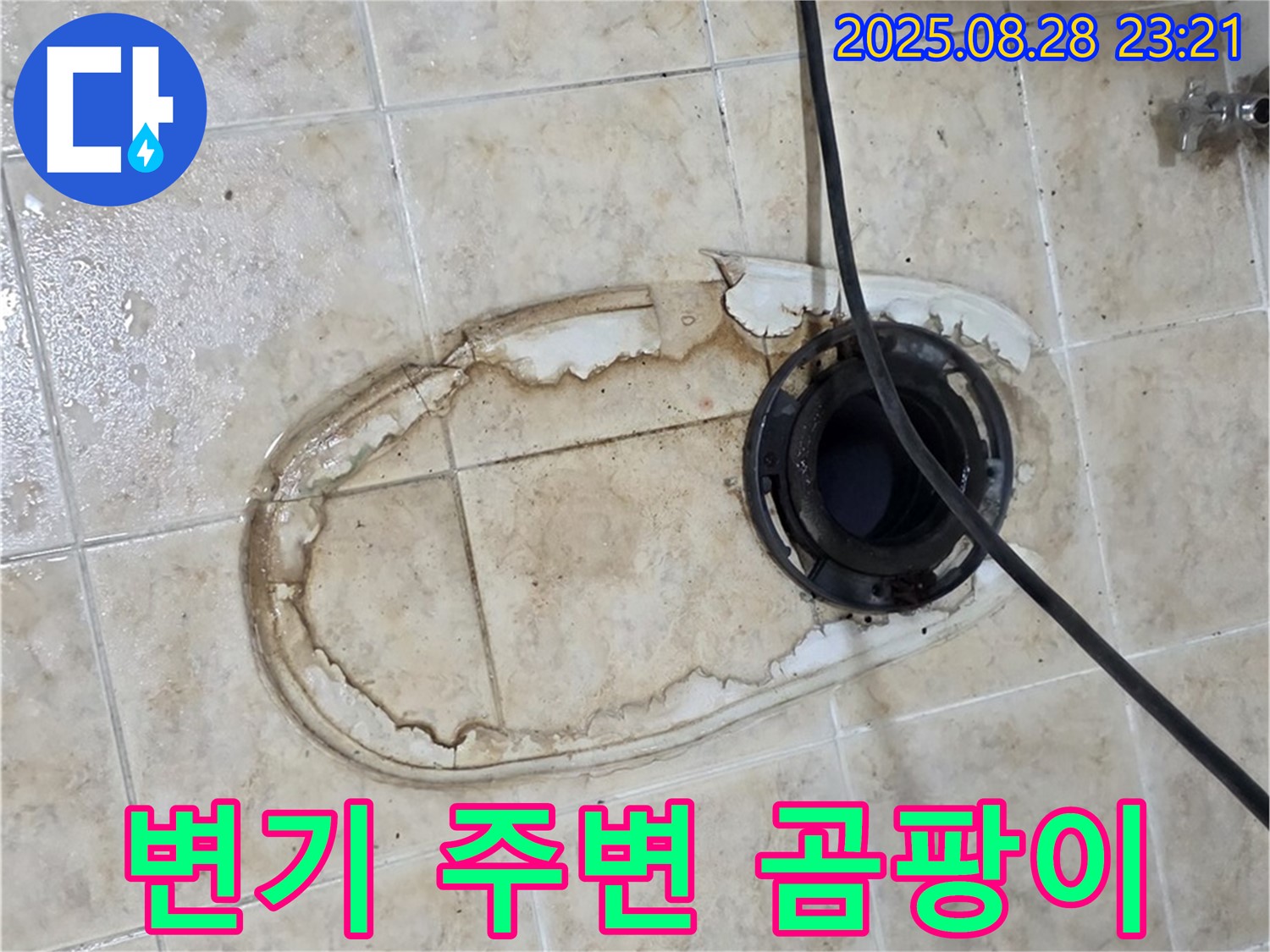 변기 주변 곰팡이 - 누수로 인한 곰팡이 발생 가능성