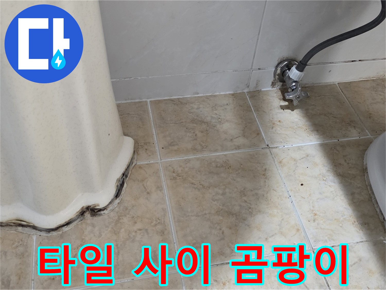 세면대 아래 타일 사이 곰팡이 - 세면대 아래 타일 사이에 검은 곰팡이가 핀 모습입니다 - 누수를 의심해야 합니다.