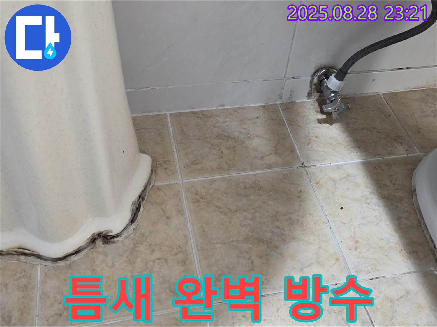 세면대 하부 곰팡이 - 곰팡이 제거 및 틈새 완벽 방수로 곰팡이 재발 방지!