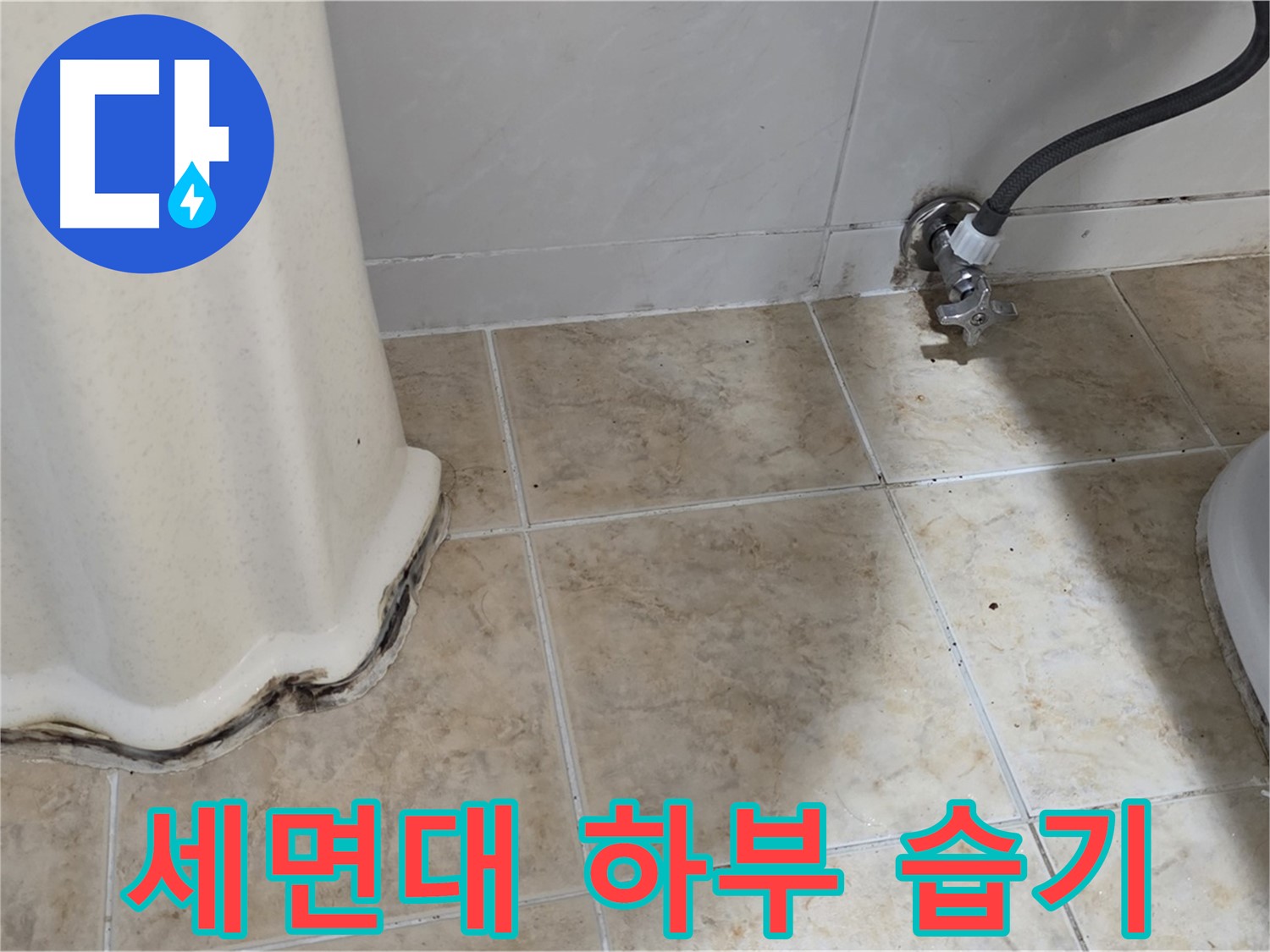 세면대 하부 습기 - 세면대 하부에 습기가 많아 곰팡이가 번식하기 쉬운 환경을 보여주는 (가상의) 사진입니다.