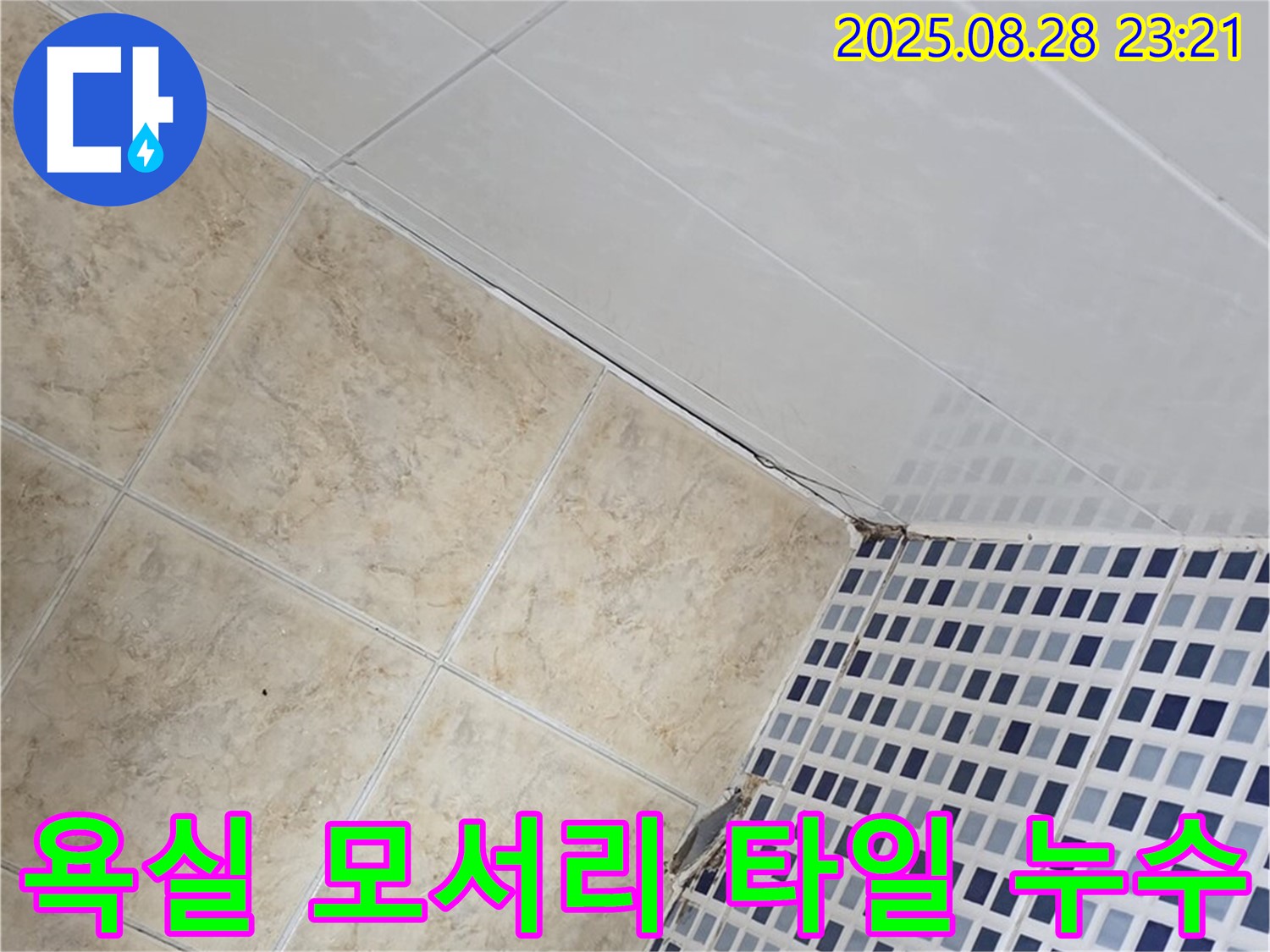 욕실 모서리 타일 틈새에서 시작된 누수 - 꼼꼼한 점검과 해결