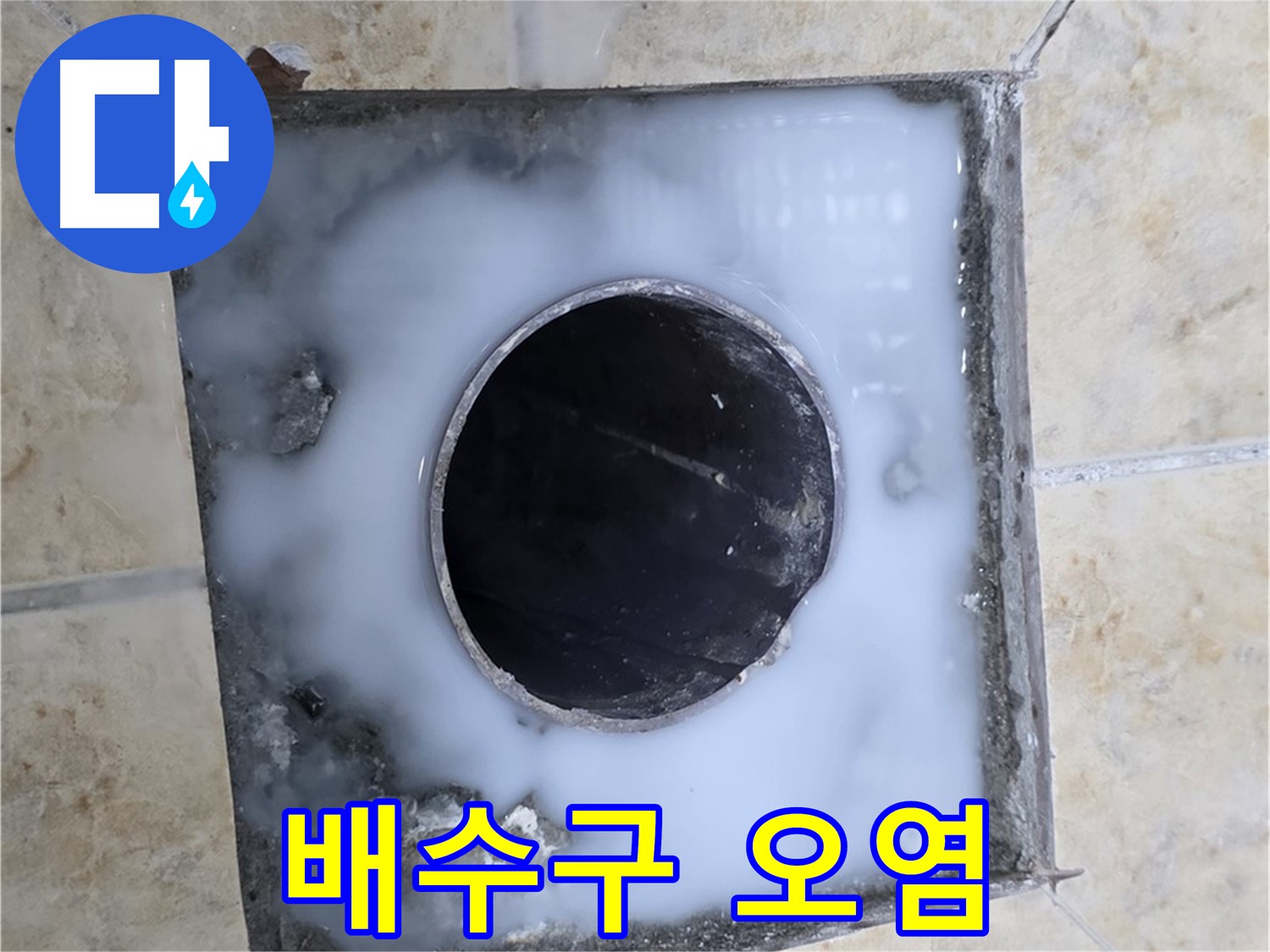 욕실 배수구 주변 오염 - 묵동 누수, 누수의 신호일 수 있습니다!