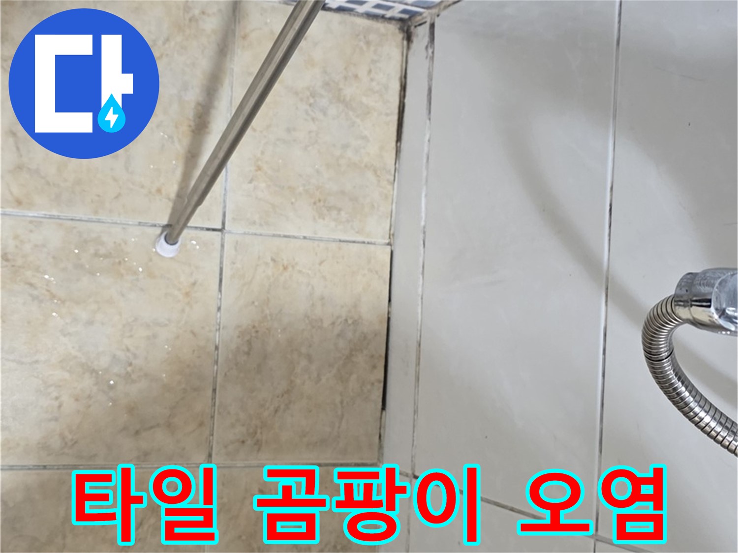 욕실 타일 곰팡이 - 백시멘트 오염 - 누수 신호 - 주의
