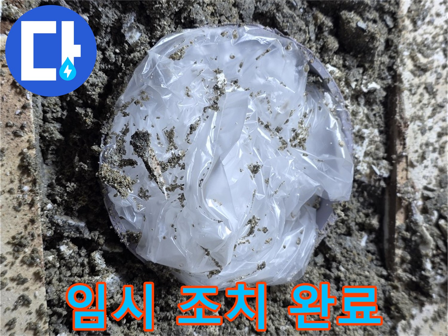 임시 조치 완료 - 완벽 해결 약속
