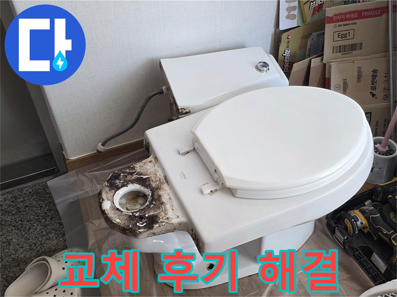 중랑구 묵동 변기 오물 트랩 교체 - 냄새와 벌레를 완벽하게 해결한 후기!