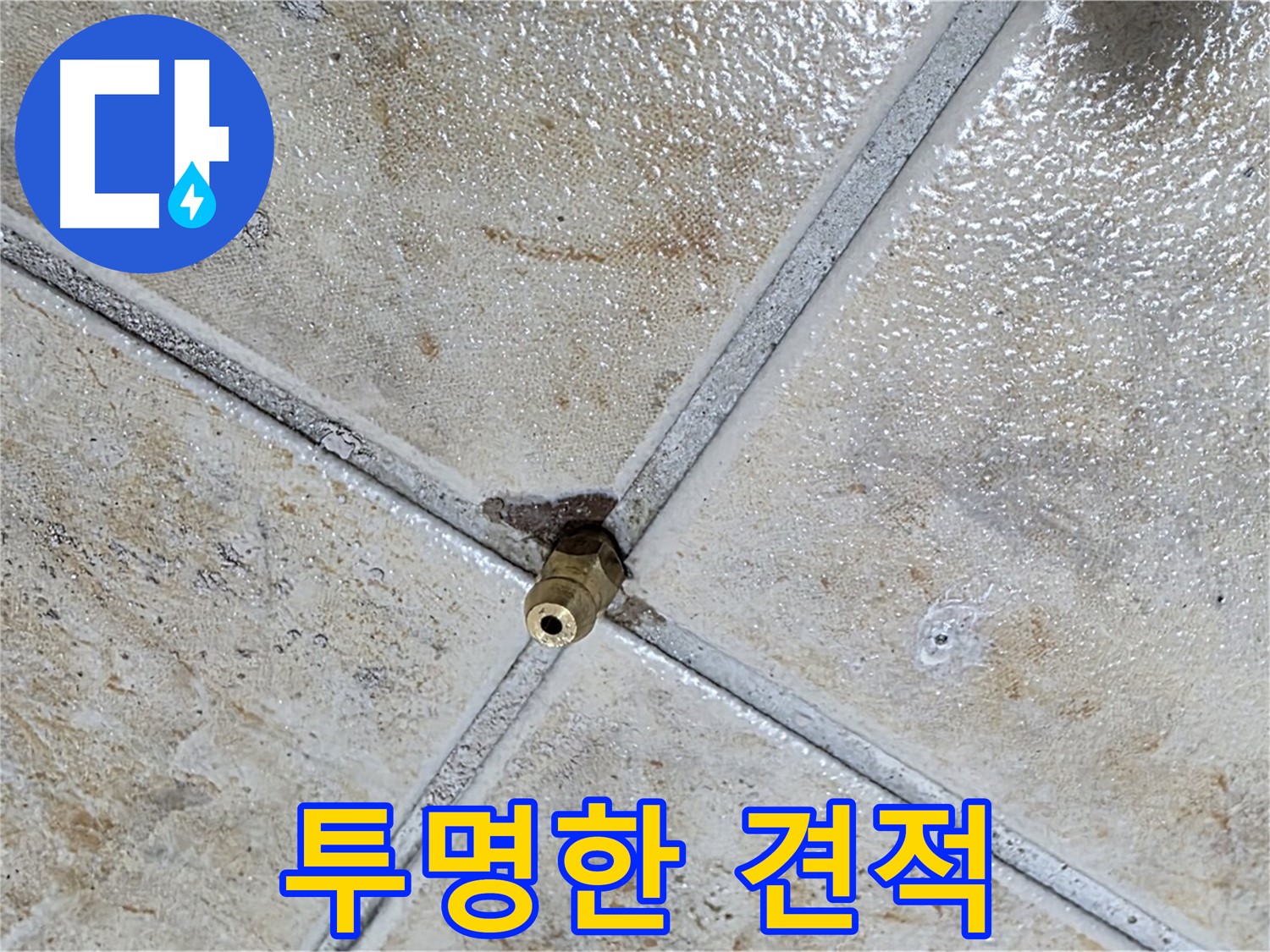 타일 틈새 누수 - 투명한 비용 공개