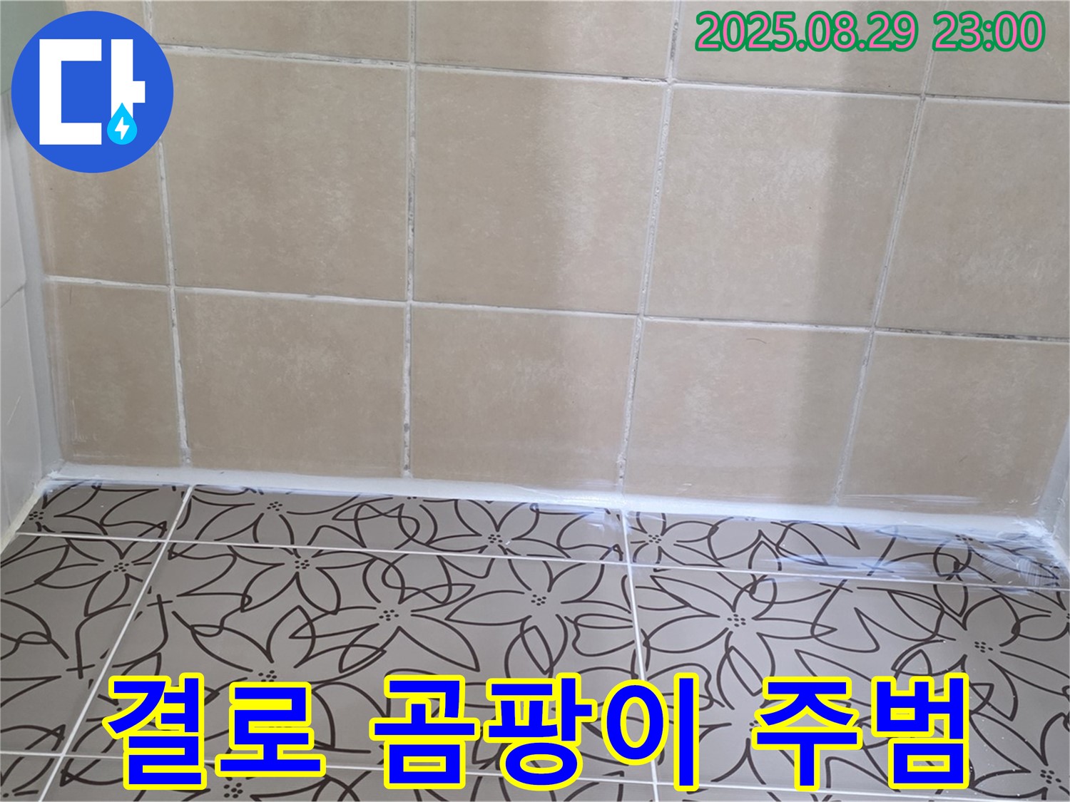 양주 백석 서광아파트 - 겨울철 결로가 곰팡이와 누수의 원인이 될 수 있음을 경고하는 사진입니다.
