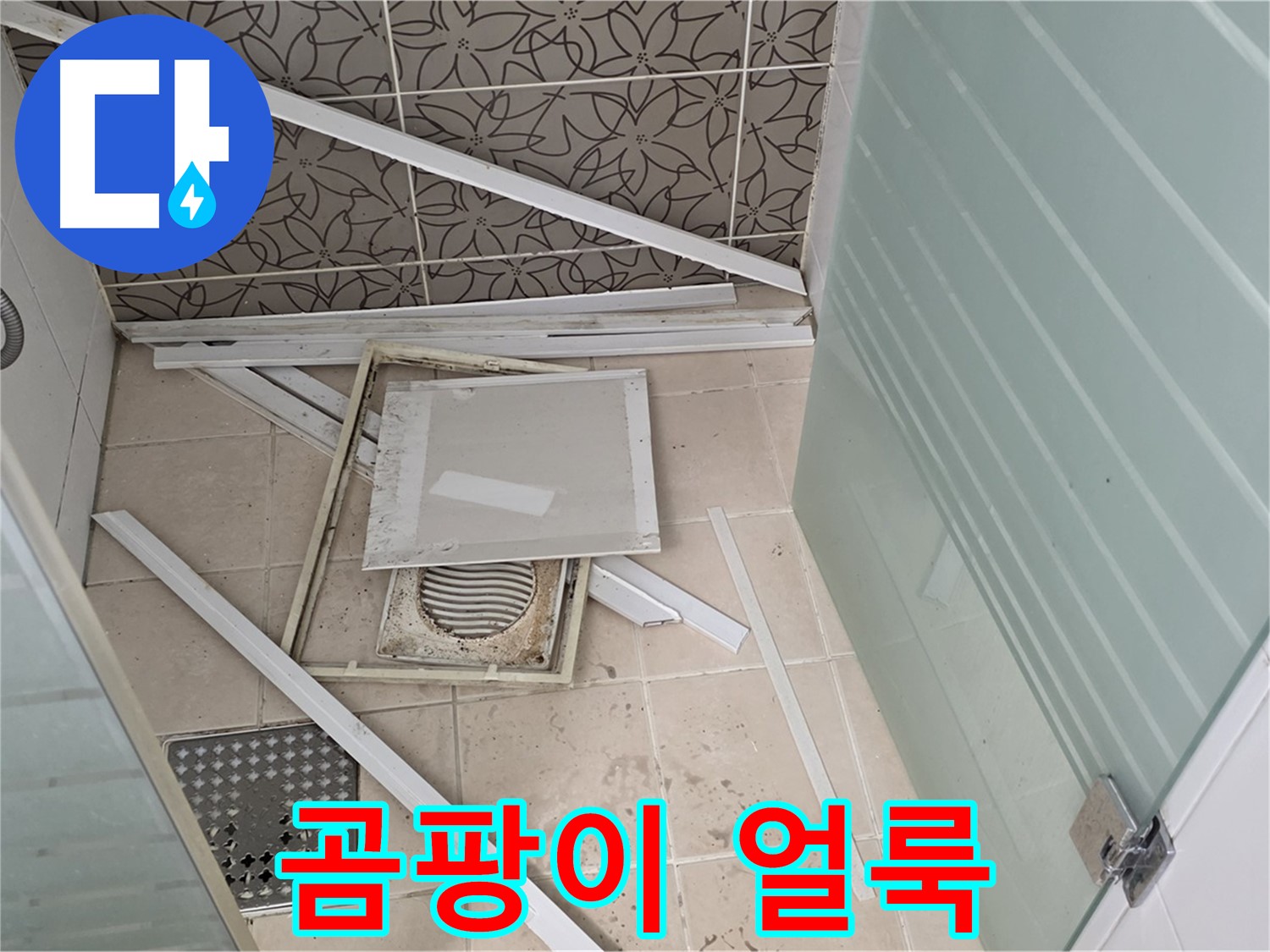 양주 백석 서광아파트 누수 - 석고보드, 곰팡이로 얼룩덜룩