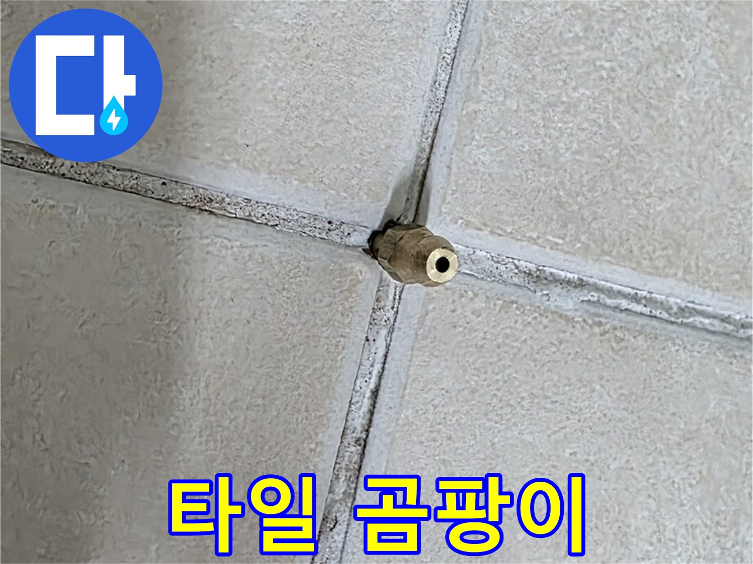 양주 백석 서광아파트 누수 - 타일 틈새의 곰팡이는 누수뿐만 아니라 건강에도 악영향을 미칠 수 있습니다.