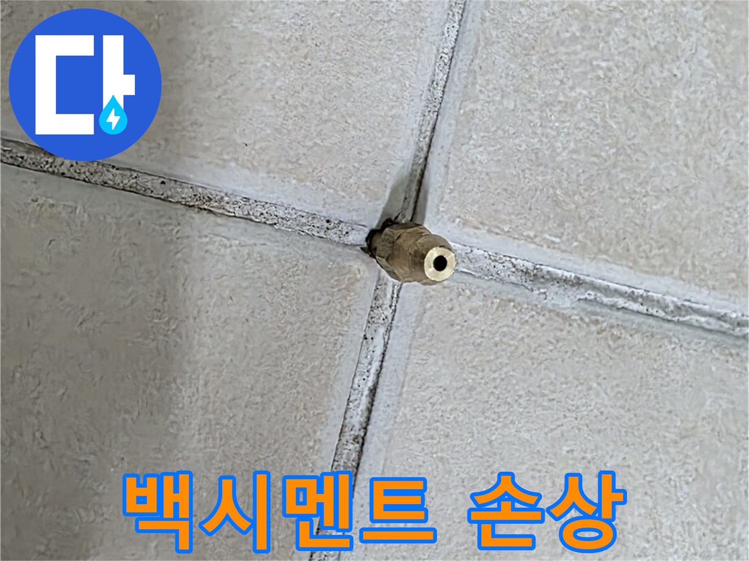 양주 백석 서광아파트 누수 - 타일 틈새의 백시멘트 손상은 누수의 원인이 될 수 있습니다.