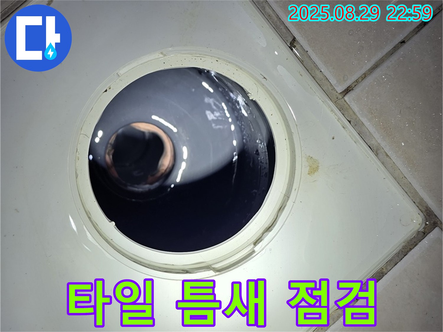 양주 백석 서광아파트 욕실 누수 - 하수구 주변 타일 틈새를 점검하여 누수와의 연관성을 확인합니다.