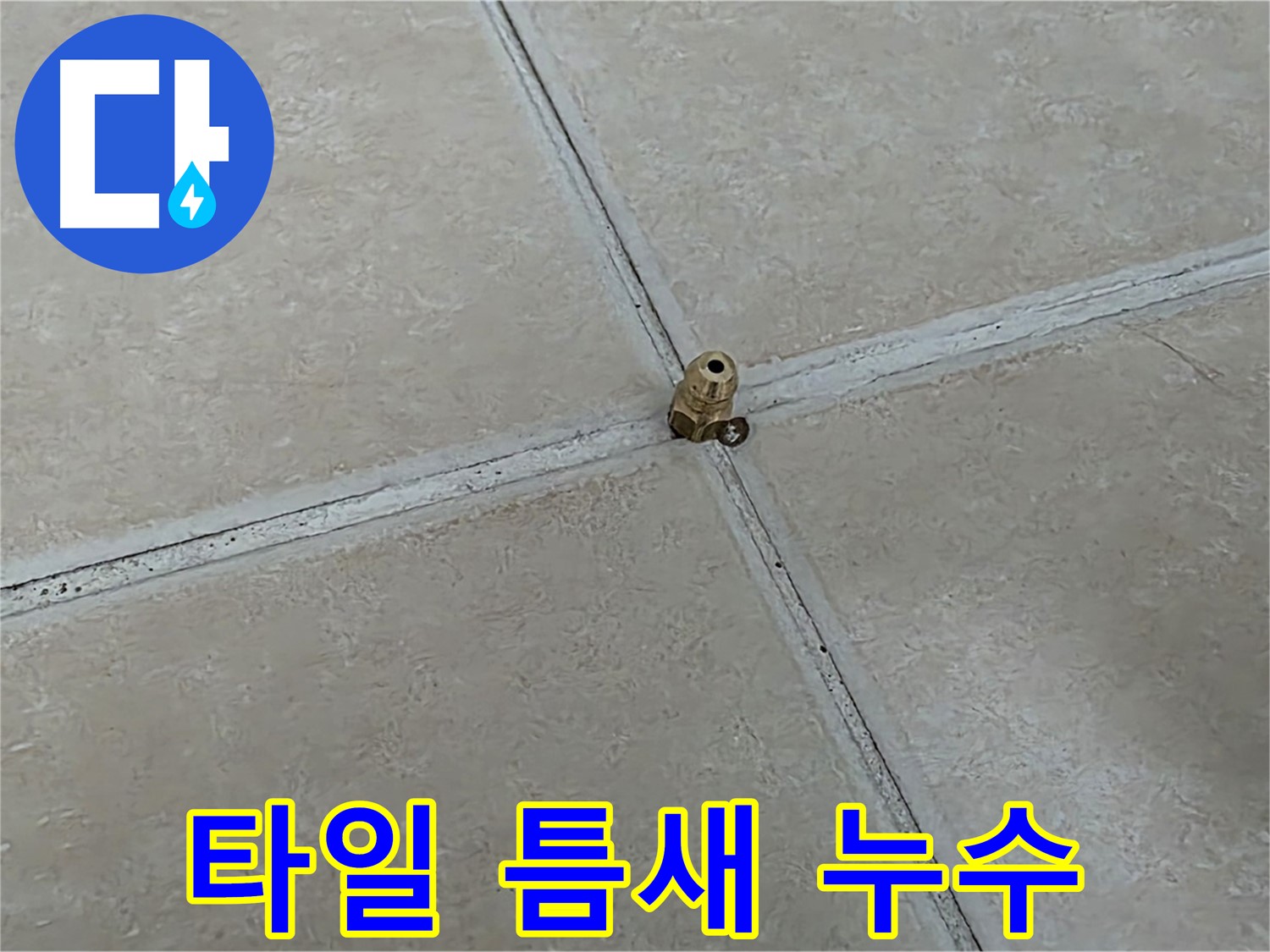 양주 서광아파트 타일 틈새 누수 - 정밀 검사로 찾아낸 누수 지점