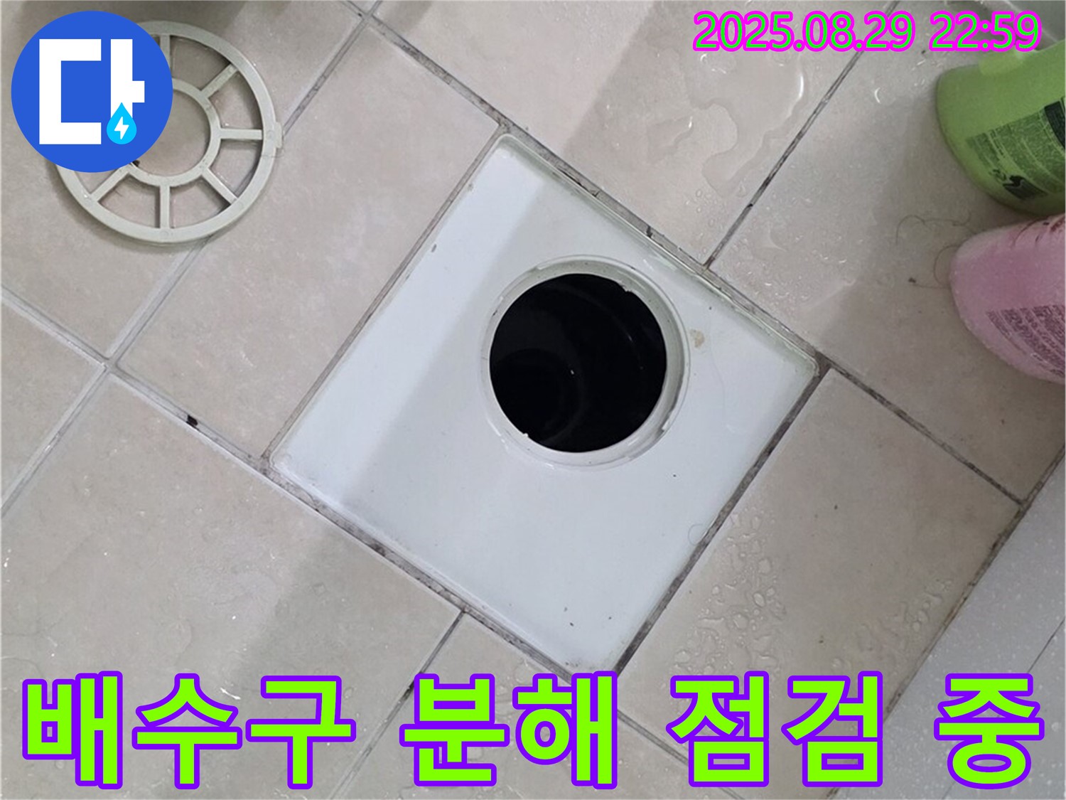 양주시 백석읍 서광아파트 욕실 배수구 분해 점검 중 - 누수 원인을 꼼꼼하게 파악합니다.