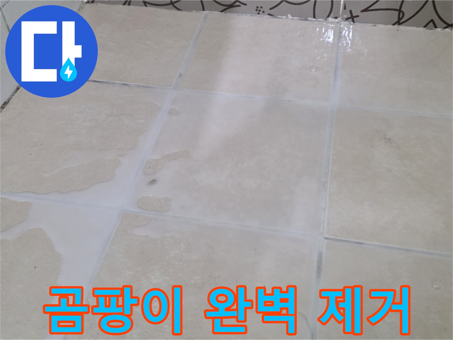 욕실 타일 틈새 곰팡이 완벽 제거 - 건강하고 쾌적한 욕실 환경 조성