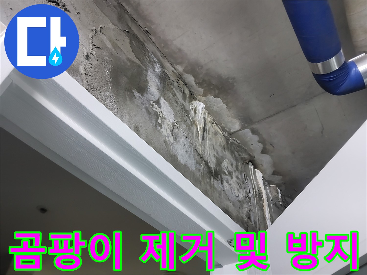 곰팡이 제거 및 방지 - 누수로 인해 발생한 곰팡이를 깨끗하게 제거하고 곰팡이 방지 약품을 시공하는 모습입니다.