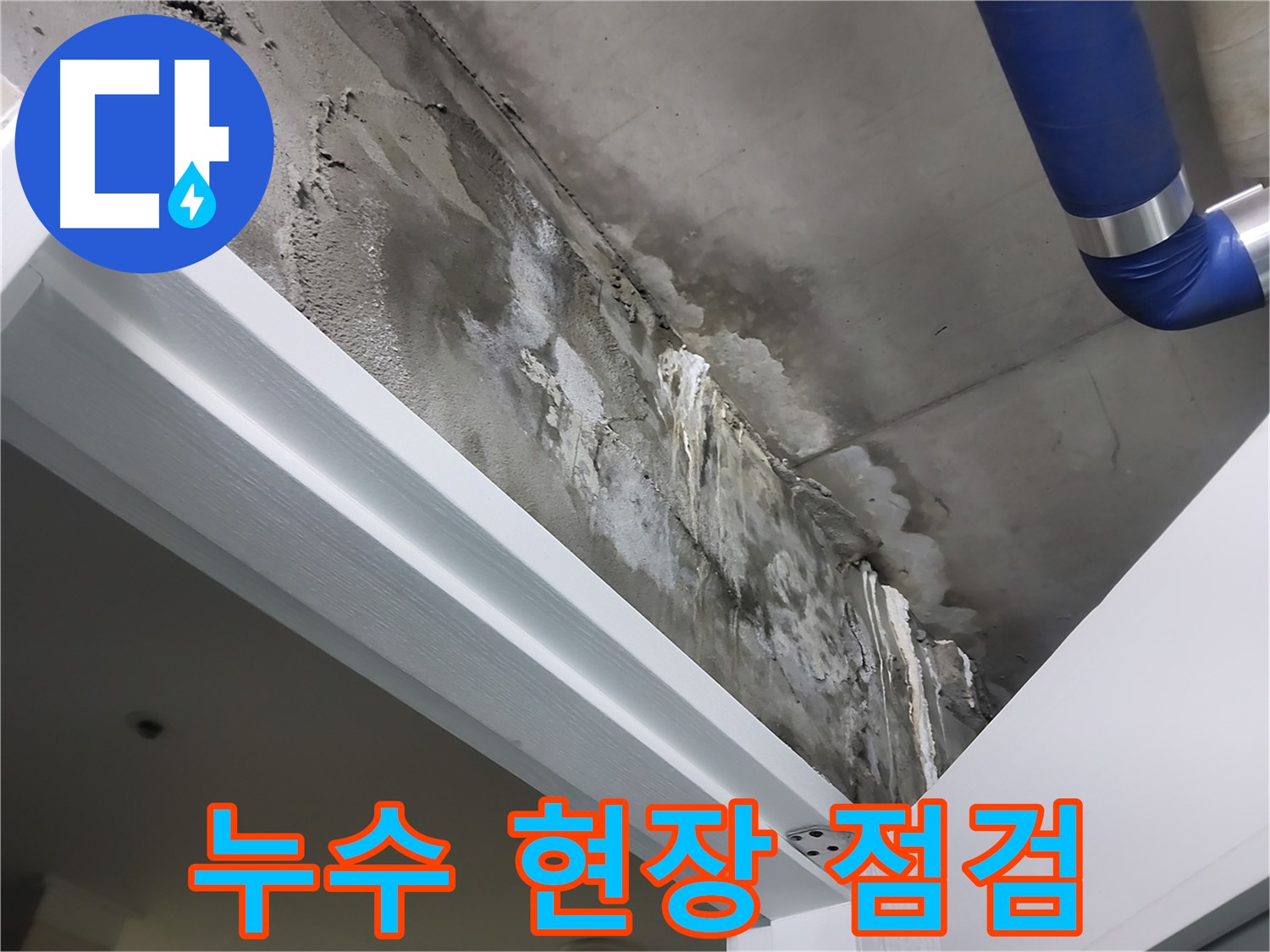 누수 현장 점검 - 누수 현장을 꼼꼼하게 점검하는 모습을 보여주는 사진입니다.