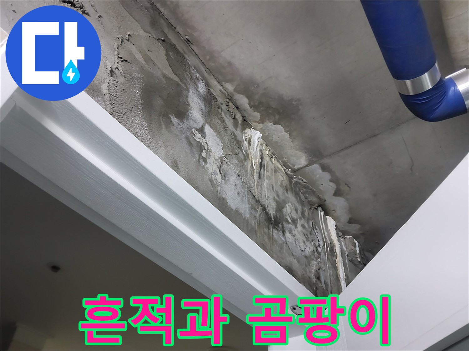 문 상단 천장 - 흔적과 곰팡이 - 누수 흔적과 함께 곰팡이가 발생한 천장의 모습입니다.